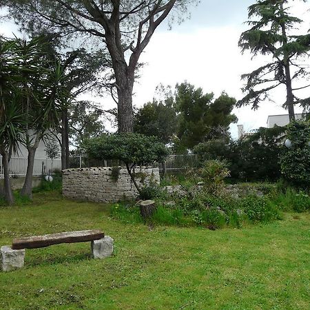 B&B Villa Garden Bisceglie Dış mekan fotoğraf
