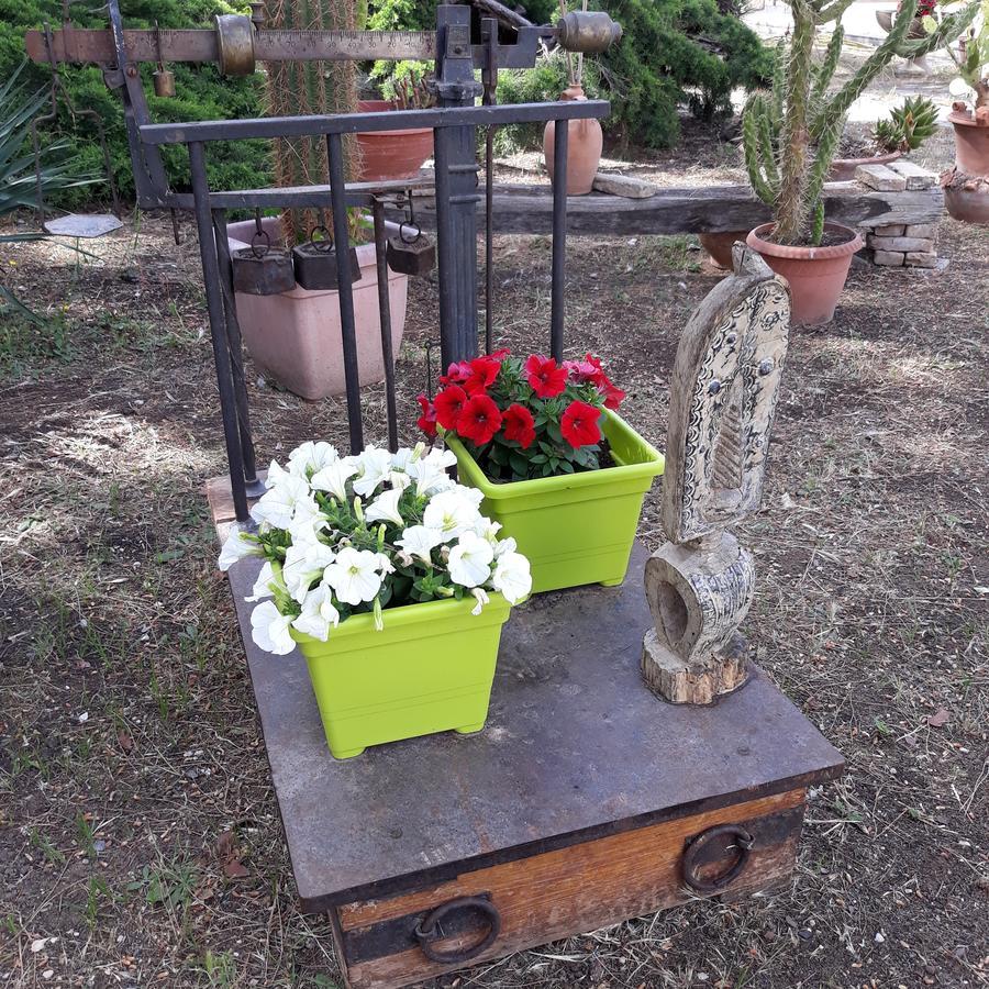 B&B Villa Garden Bisceglie Dış mekan fotoğraf